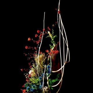 松任谷由実楽曲より AVALON