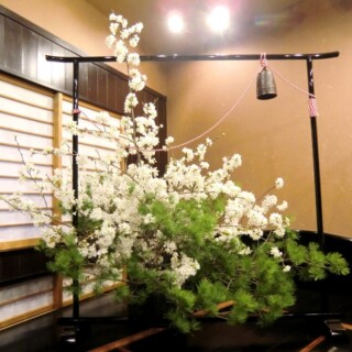 「道成寺」より 道成寺