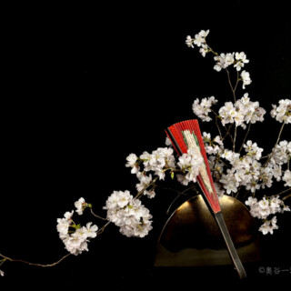 扇シリーズ「道成寺」 道成寺